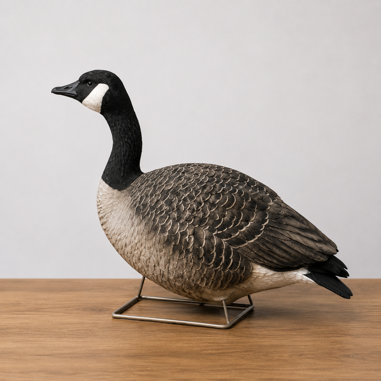 Avian-X Fully Flocked Canada Full Bodies 6-Pack — Pre-Owned