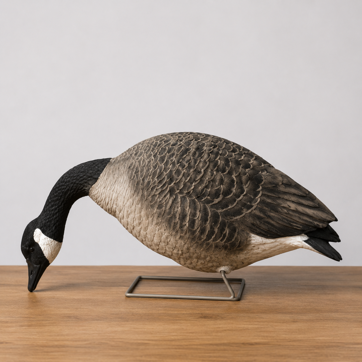 Avian-X Fully Flocked Canada Full Bodies 6-Pack — Pre-Owned