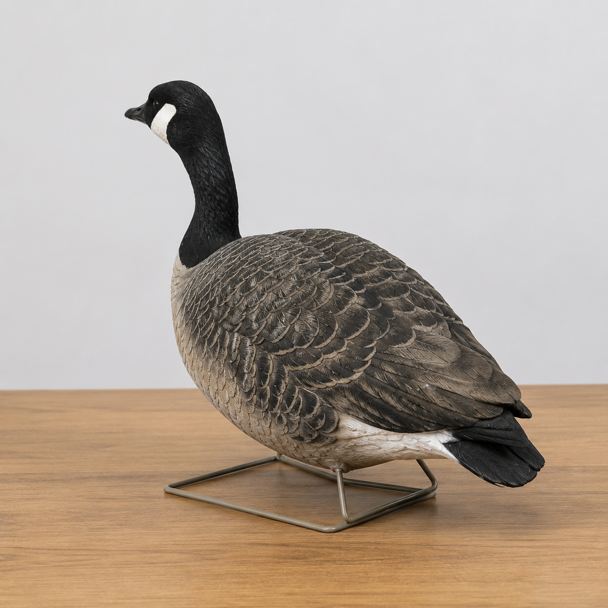Avian-X Fully Flocked Canada Full Bodies 6-Pack — Pre-Owned