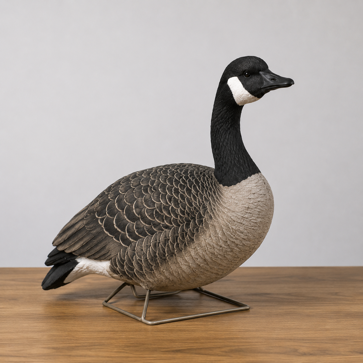 Avian-X Fully Flocked Canada Full Bodies 6-Pack — Pre-Owned