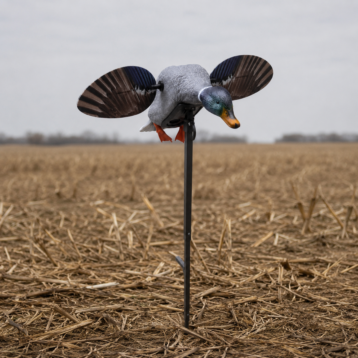 Mojo Spinning Wing Mallard Decoy — Pre-Owned
